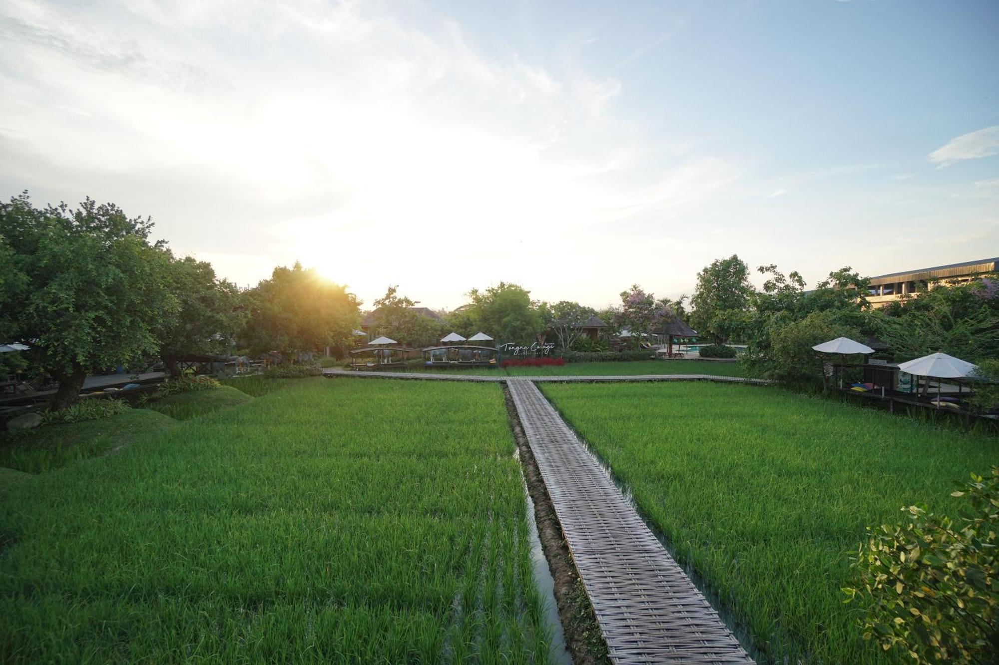 Tongna Cottage Natural Resort Chiang Mai Exterior foto
