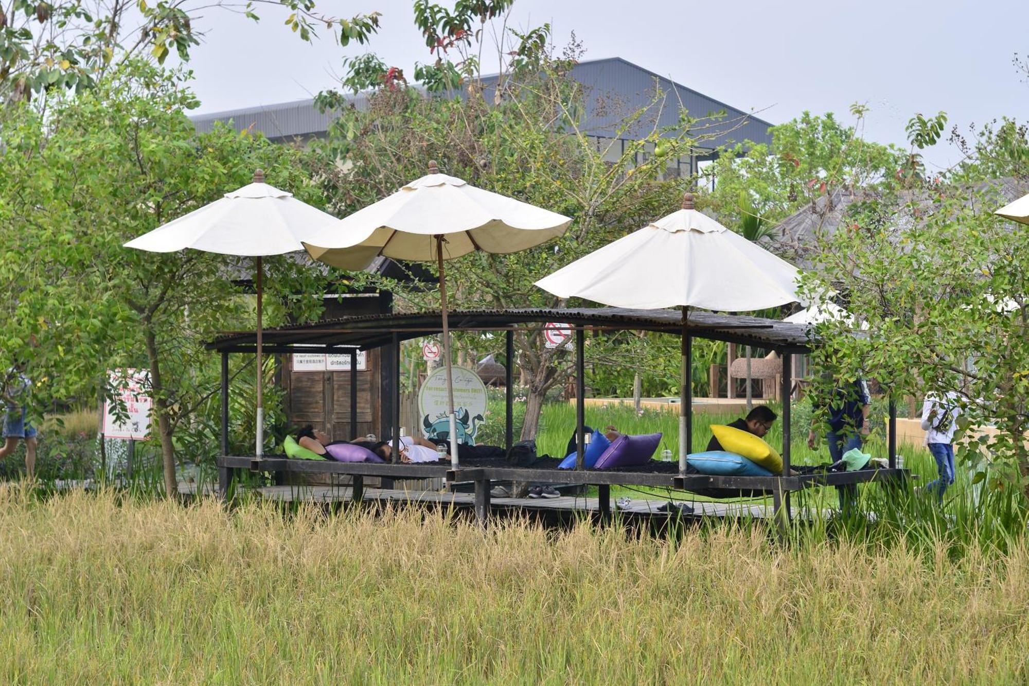 Tongna Cottage Natural Resort Chiang Mai Exterior foto