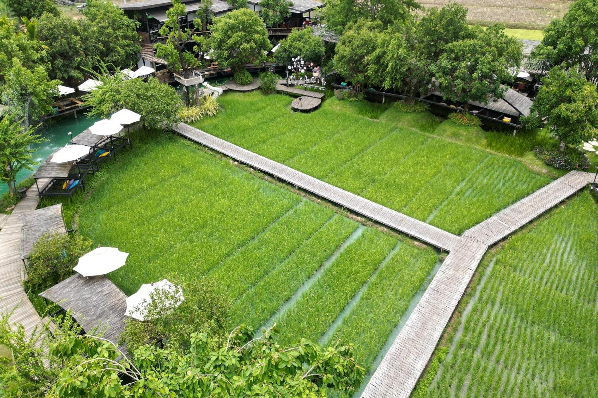 Tongna Cottage Natural Resort Chiang Mai Exterior foto