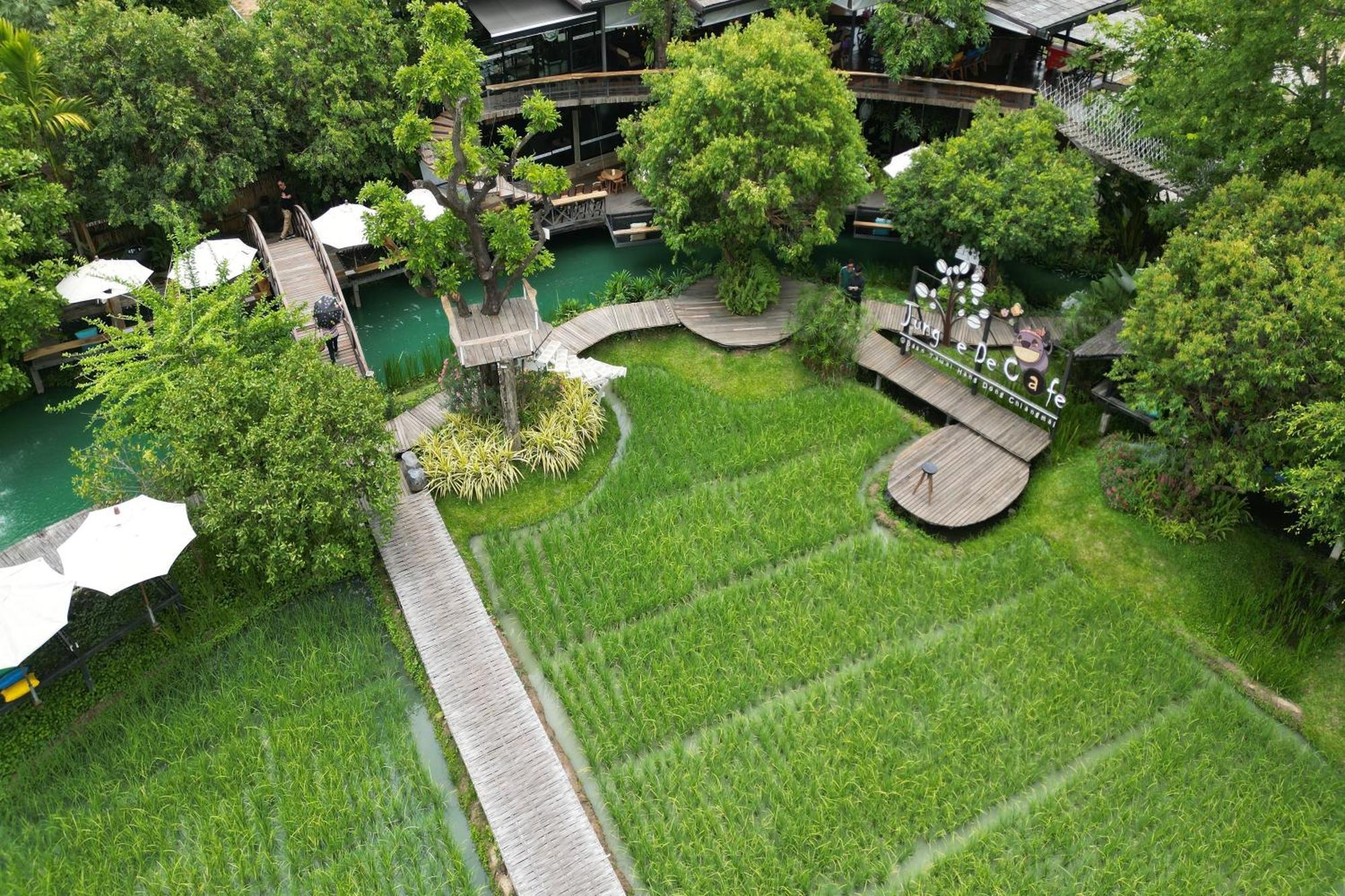 Tongna Cottage Natural Resort Chiang Mai Exterior foto
