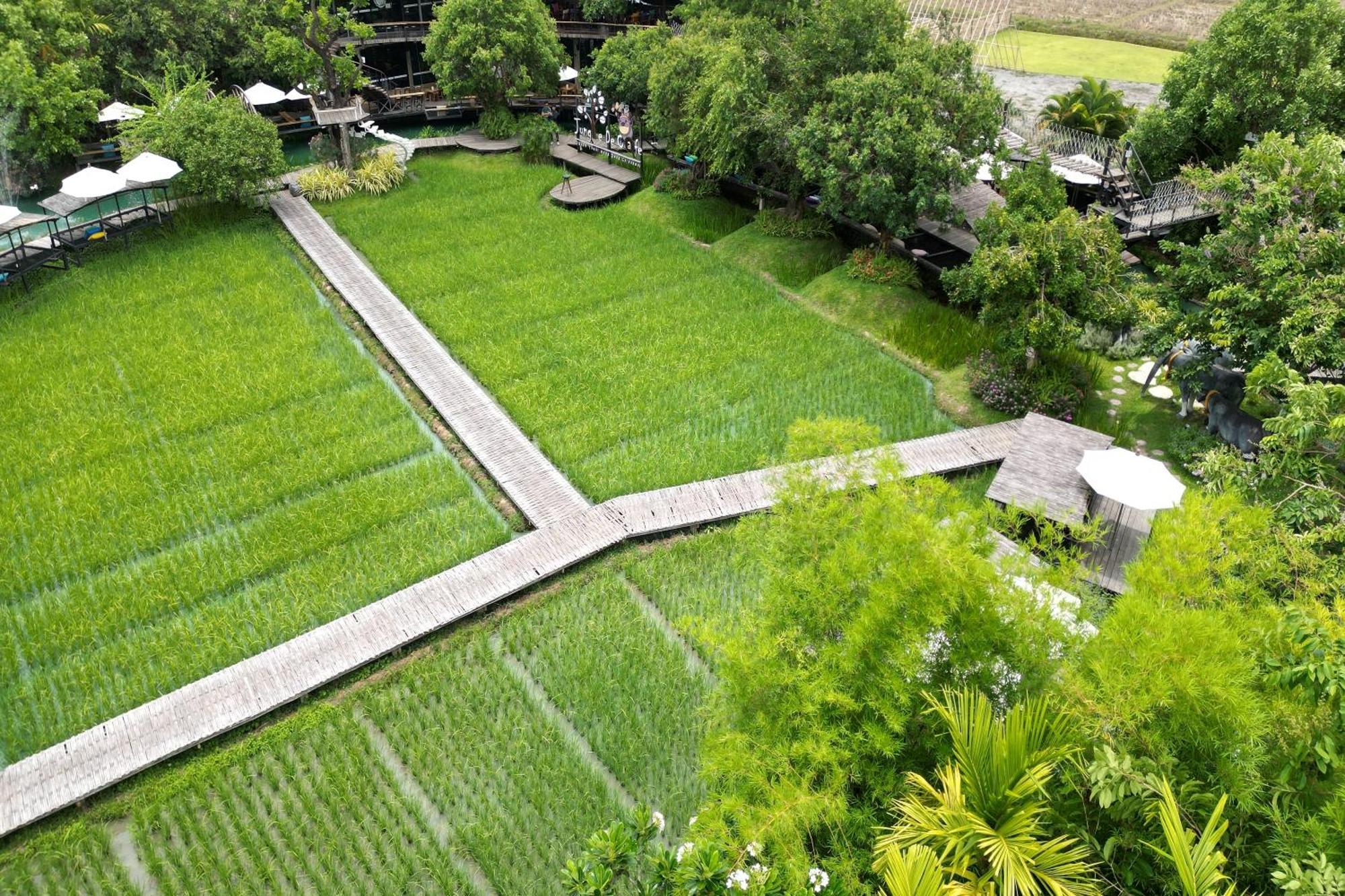 Tongna Cottage Natural Resort Chiang Mai Exterior foto